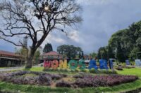 Inilah Review Menarik Kebun Teh Wonosari Malang, Wajib Dikunjungi!